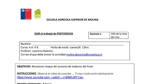 4 - Madurez del fruto 4 - Madurez del fruto