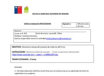 4 - Madurez del fruto 4 - Madurez del fruto