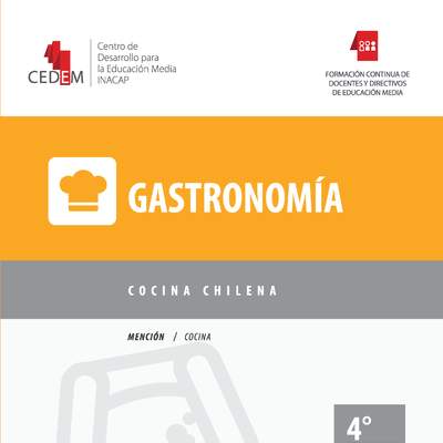 COCINA CHILENA COCINA CHILENA