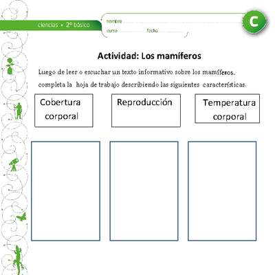 Los Mamíferos Los Mamíferos