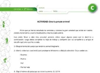 Crea tu propio animal Crea tu propio animal