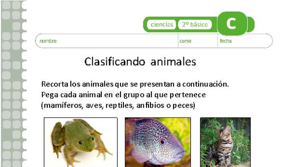 Clasificando animales Clasificando animales