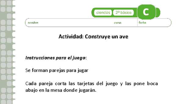 Construye un ave Construye un ave