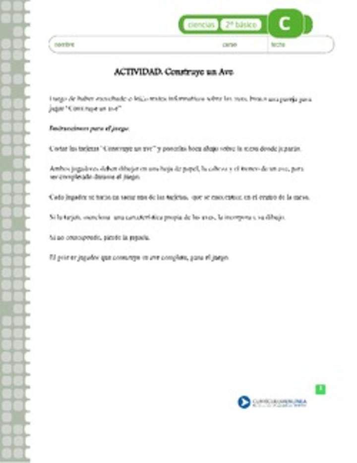 Construye un ave Construye un ave