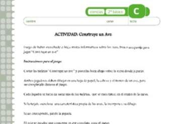 Construye un ave Construye un ave