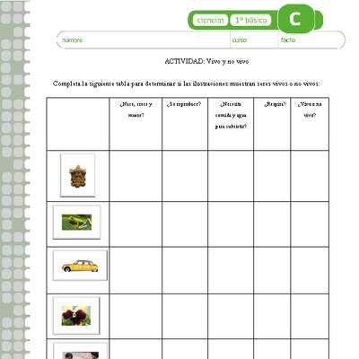 Vivo o no vivo Vivo o no vivo