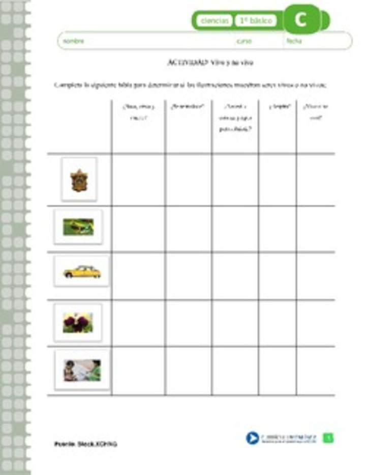 Vivo o no vivo Vivo o no vivo