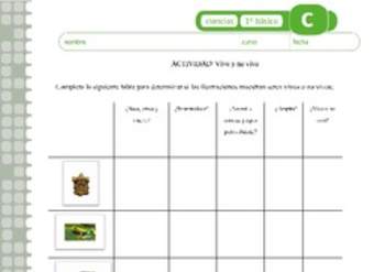 Vivo o no vivo Vivo o no vivo