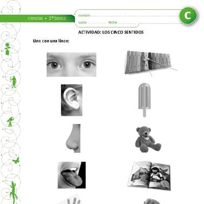 Los cinco sentidos Los cinco sentidos