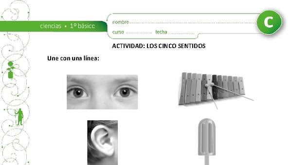 Los cinco sentidos Los cinco sentidos