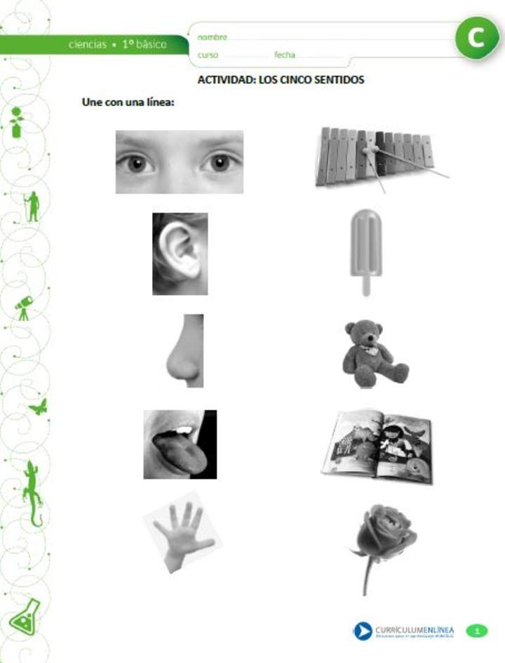 Los cinco sentidos Los cinco sentidos