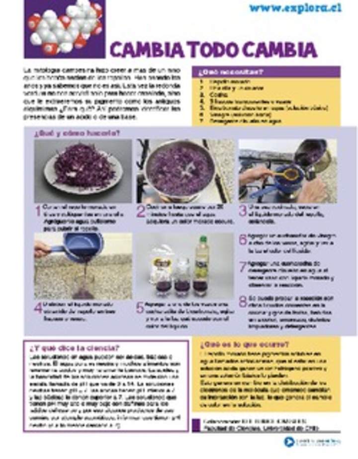 Cambios en la materia Cambios en la materia