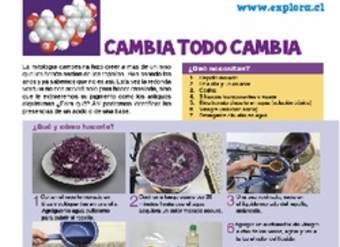 Cambios en la materia Cambios en la materia