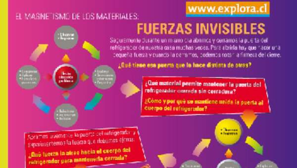 El magnetismo en los materiales El magnetismo en los materiales