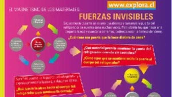 El magnetismo en los materiales El magnetismo en los materiales