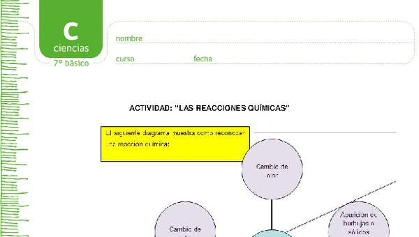 Reacciones químicas Reacciones químicas