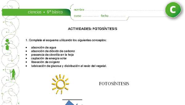 Fotosíntesis Fotosíntesis