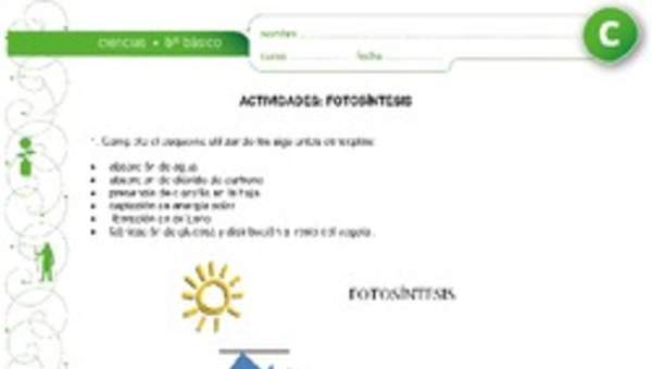 Fotosíntesis Fotosíntesis