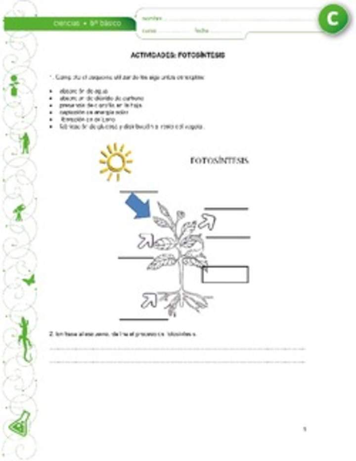 Fotosíntesis Fotosíntesis