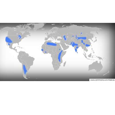 Aguas subterráneas en el mundo Aguas subterráneas en el mundo