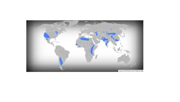 Aguas subterráneas en el mundo Aguas subterráneas en el mundo