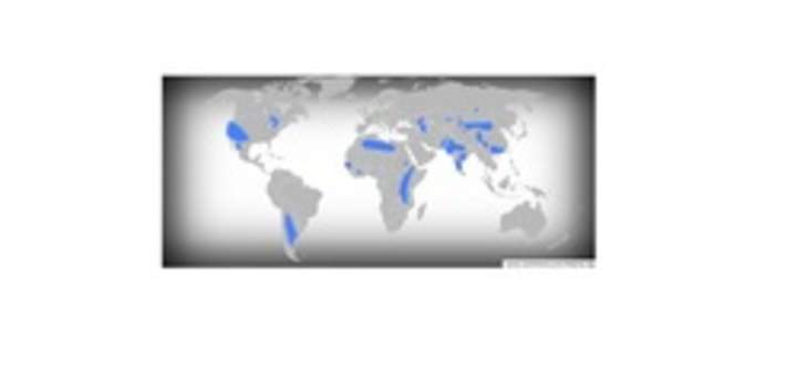 Aguas subterráneas en el mundo Aguas subterráneas en el mundo