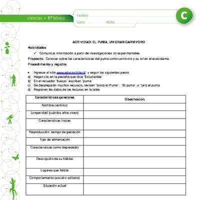 El puma, un gran carnívoro El puma, un gran carnívoro