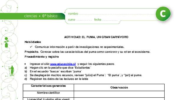 El puma, un gran carnívoro El puma, un gran carnívoro