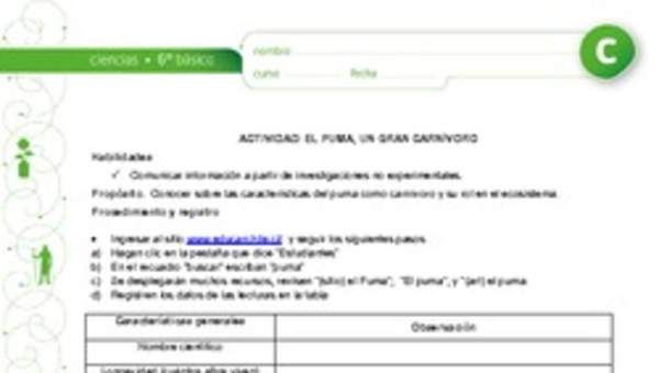 El puma, un gran carnívoro El puma, un gran carnívoro