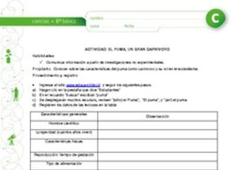 El puma, un gran carnívoro El puma, un gran carnívoro