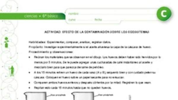 Contaminación y ecosistema Contaminación y ecosistema
