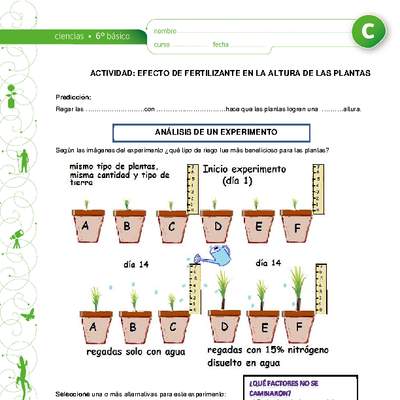 Efecto de fertilizante en la altura de las plantas Efecto de fertilizante en la altura de las plantas