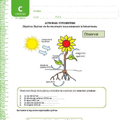 Fotosíntesis Fotosíntesis