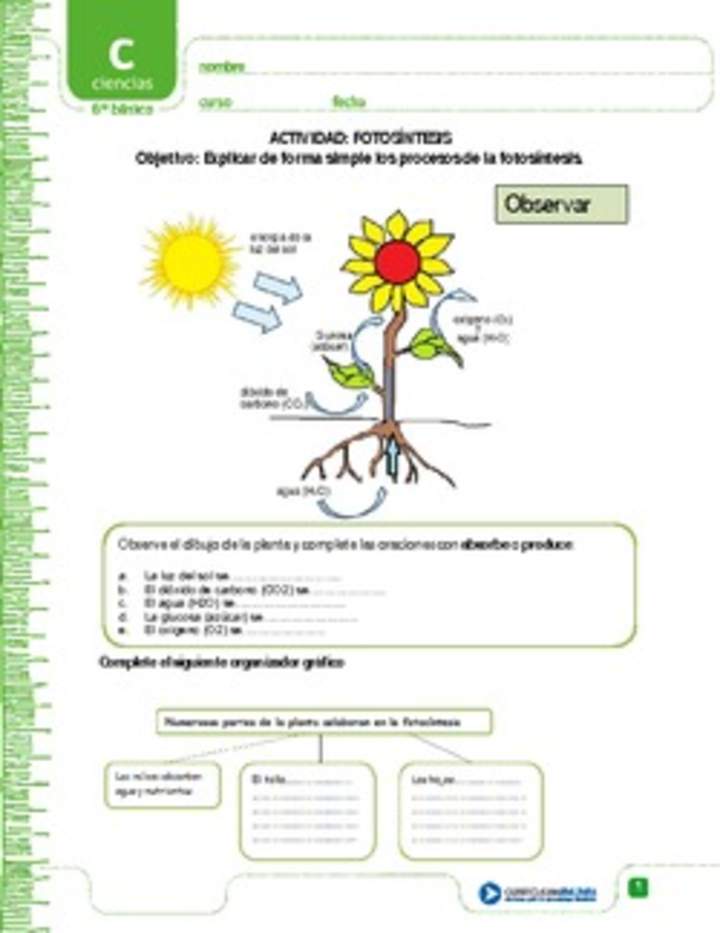 Fotosíntesis Fotosíntesis