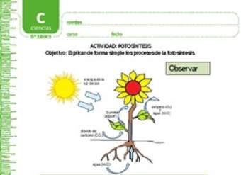 Fotosíntesis Fotosíntesis