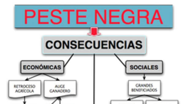 Mapa conceptual consecuencias peste negra Mapa conceptual consecuencias peste negra