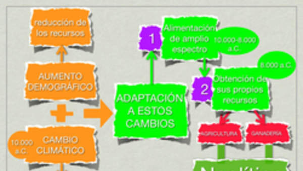 Mapa conceptual Neolítico Mapa conceptual Neolítico