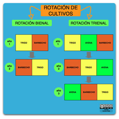 Esquema rotación de cultivos Esquema rotación de cultivos