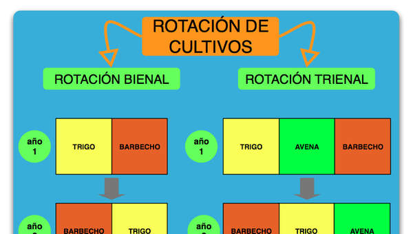 Esquema rotación de cultivos Esquema rotación de cultivos