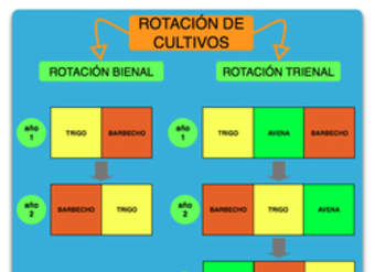 Esquema rotación de cultivos Esquema rotación de cultivos