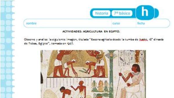 Agricultura en Egipto Agricultura en Egipto