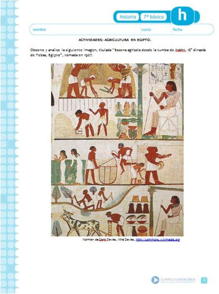 Agricultura en Egipto Agricultura en Egipto