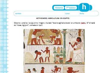 Agricultura en Egipto Agricultura en Egipto