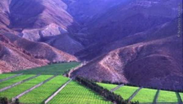 Valle del Elqui Valle del Elqui