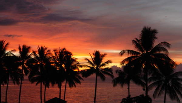 Pronóstico para el pasado: variable Pronóstico para el pasado: variable