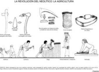 Agricultura Neolítico Agricultura Neolítico