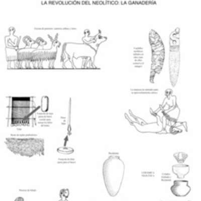 Ganadería Neolítico