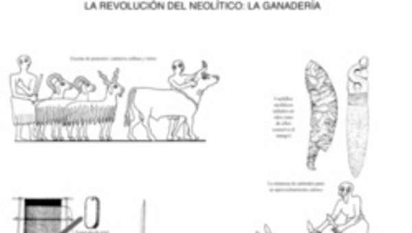 Ganadería Neolítico Ganadería Neolítico