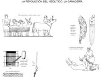 Ganadería Neolítico Ganadería Neolítico