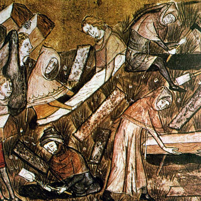 Cuadro sobre peste negra Cuadro sobre peste negra